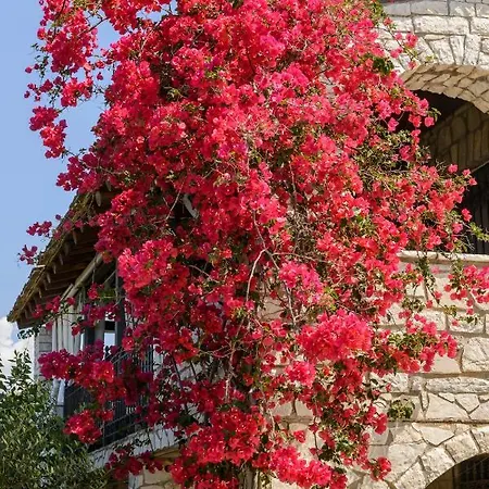 Garden Stone Studio - Secluded Holiday Escape شقة كالاماتا